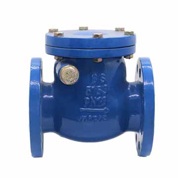 BS5153 Swing Check Valve_1