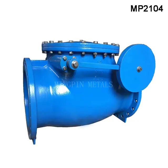 BS5153 / EN12334 Swing Check Valve with Lever & Weight